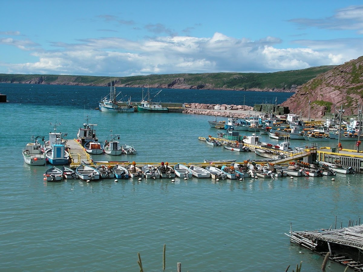 Salty Seas Cottages