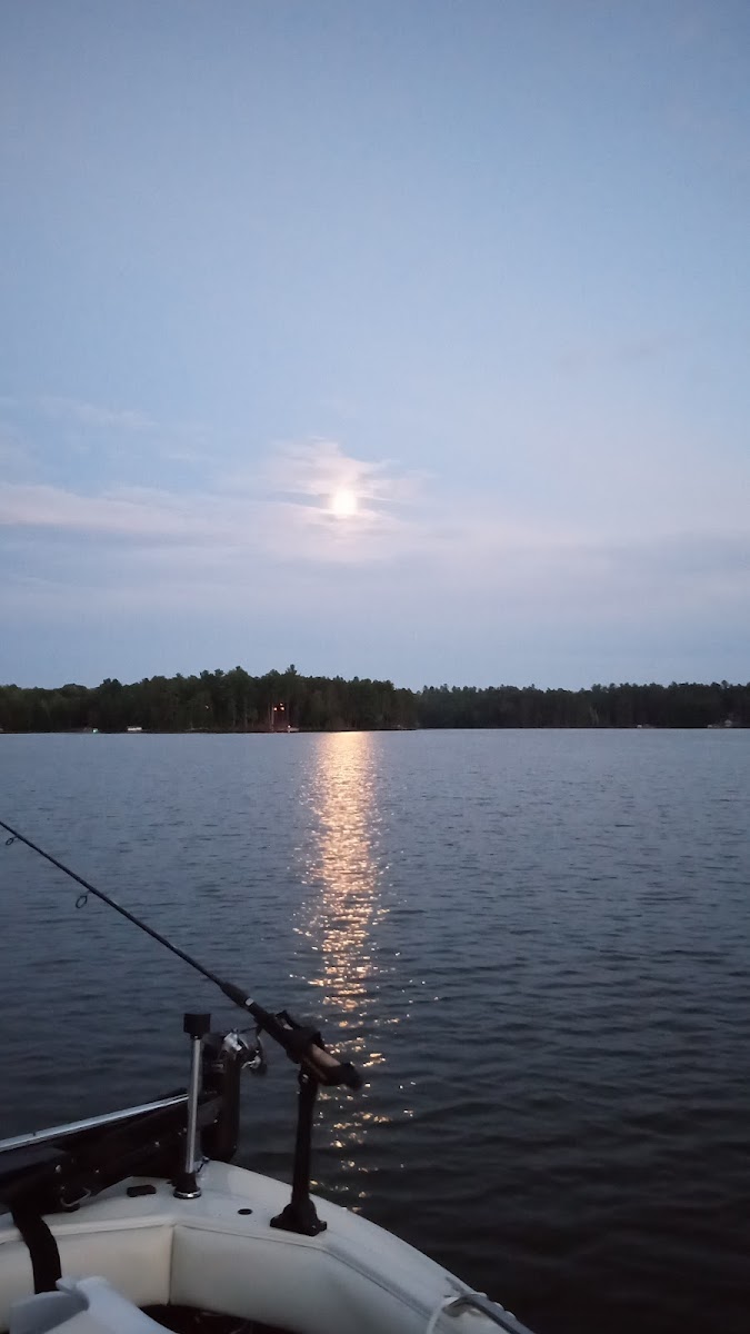 Yellow Birch Lake