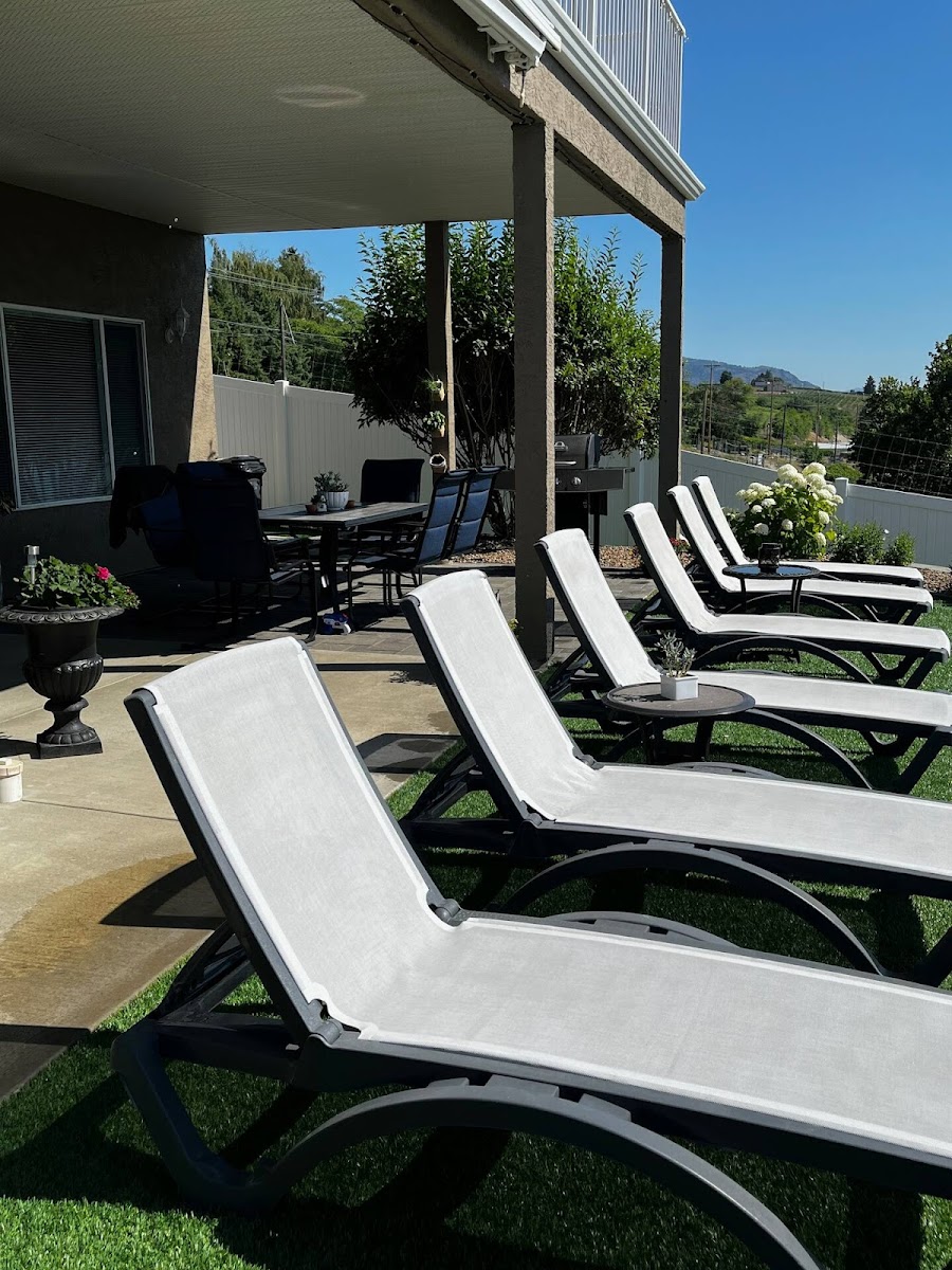 Grapeview House on Airbnb photo 2