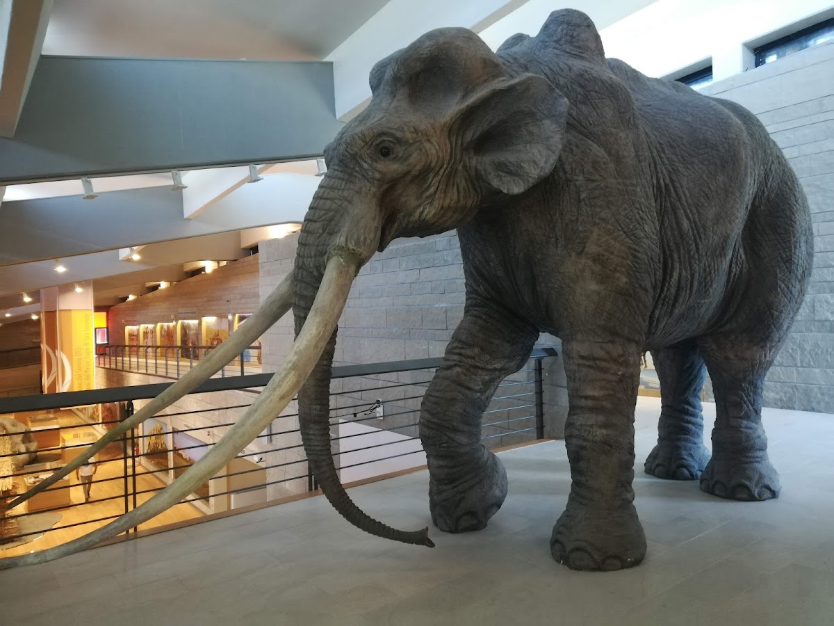 National Museum of the Paleolithic