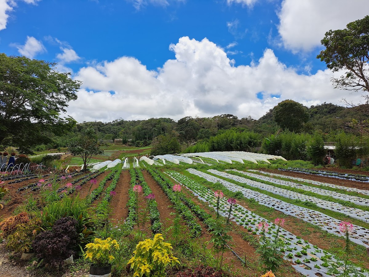Bemwa Farm