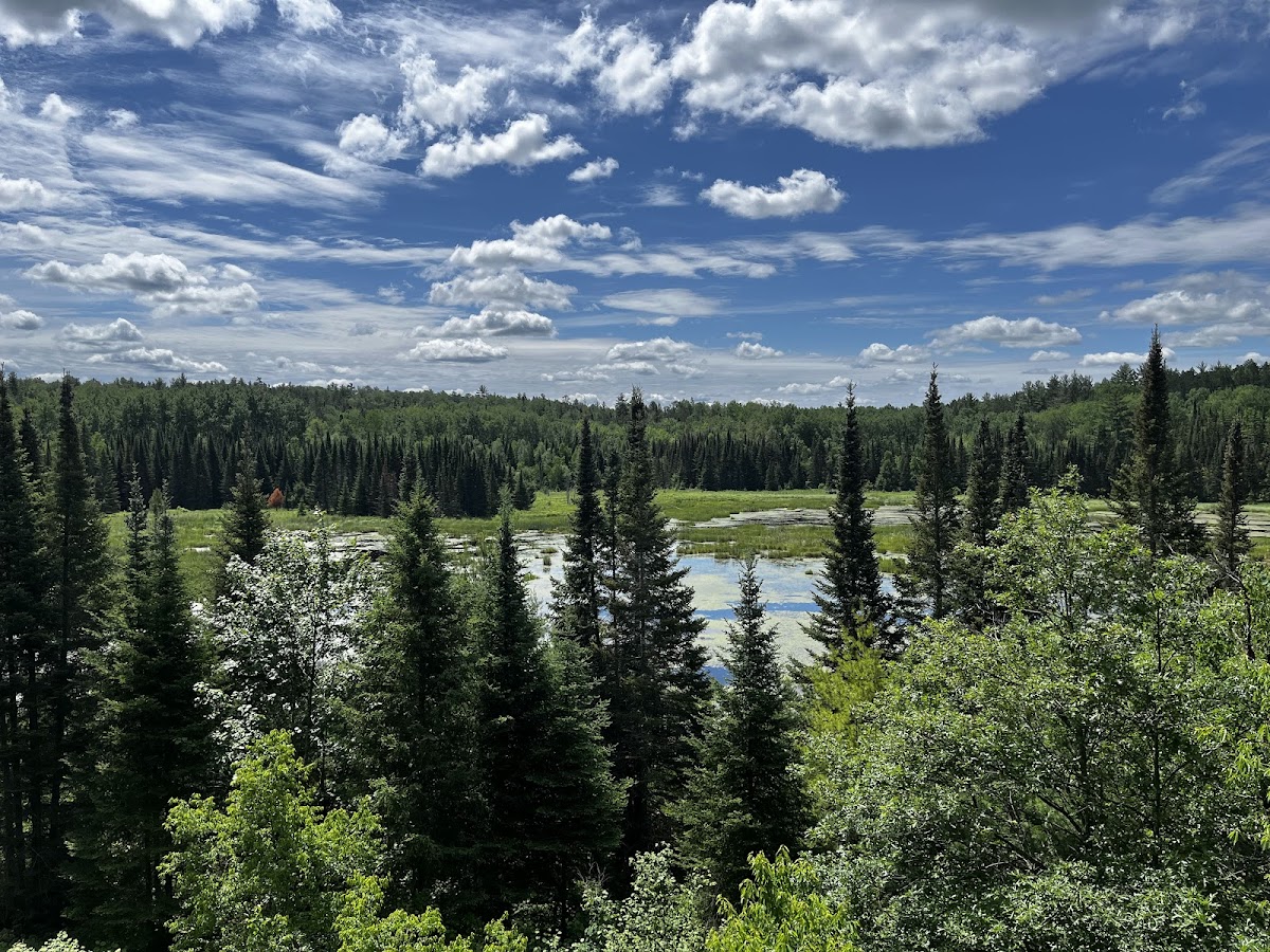 Beaver Pond Overlook