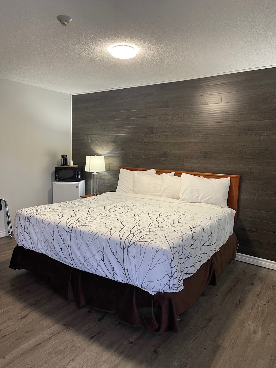Silver Star Motel photo 3