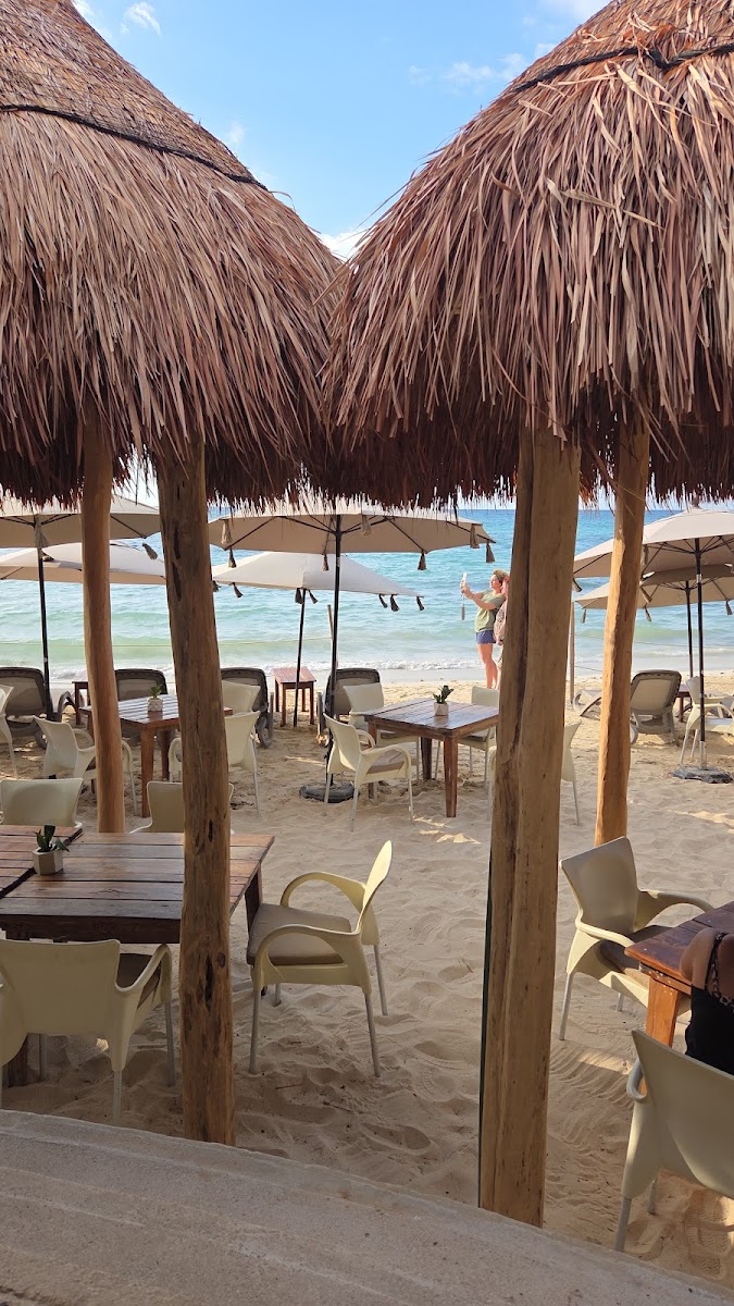 Playa del Carmen Colibrí photo 3