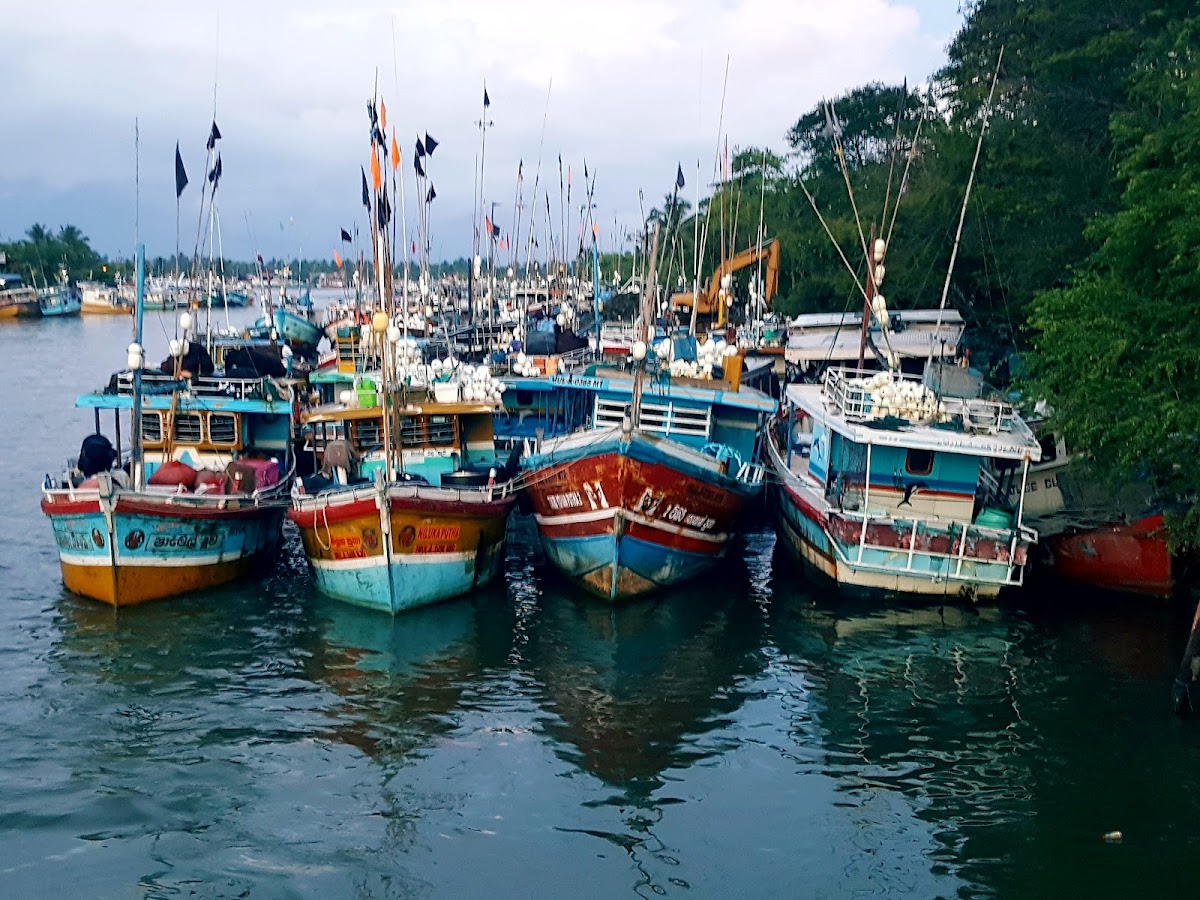 Negombo Lagoon