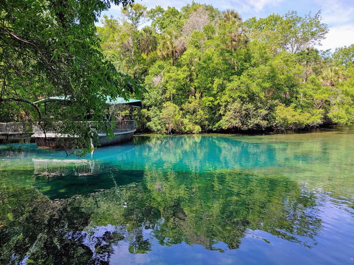 Ellie Schiller Homosassa Springs Wildlife State Park