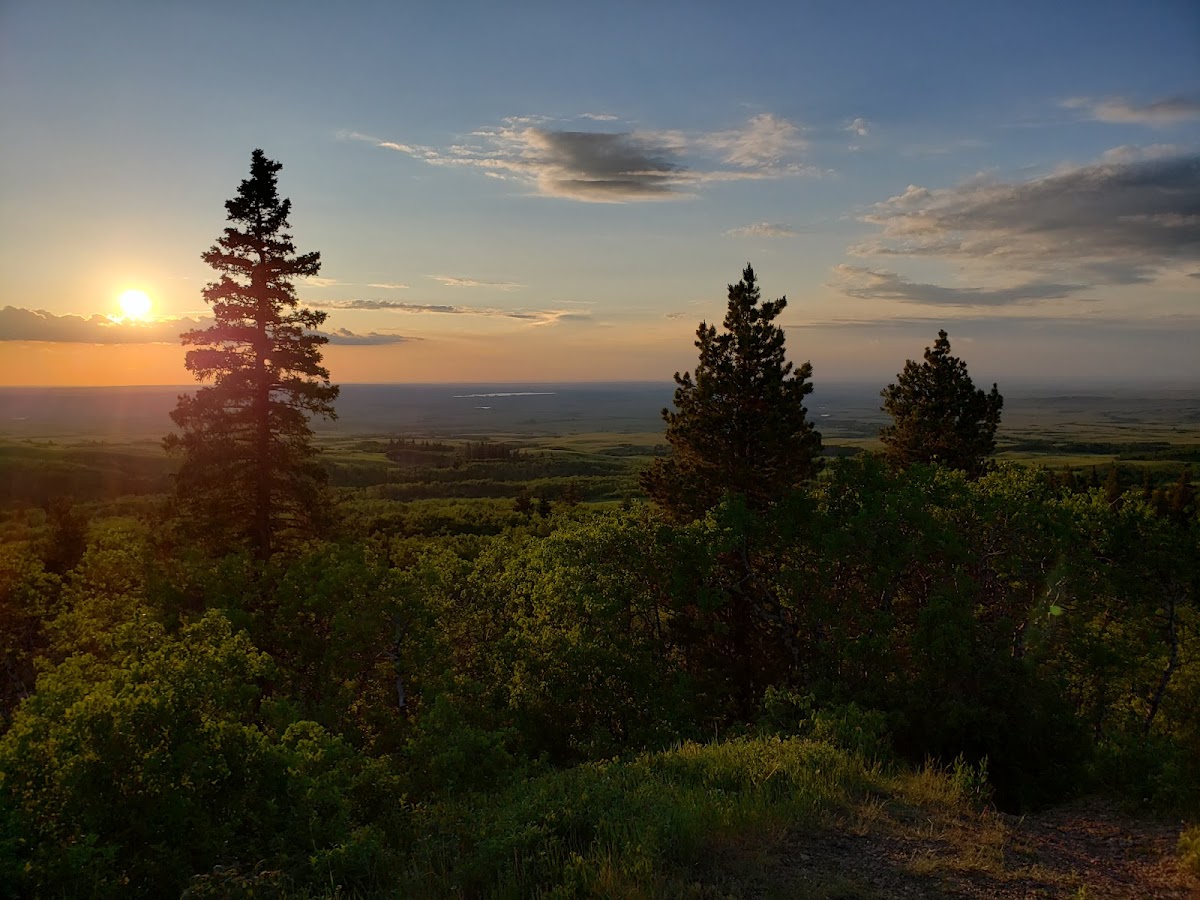 Cypress Hills Interprovincial Park - Saskatchewan