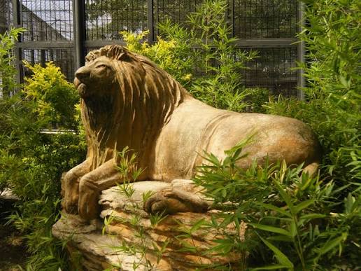 La Guaricha Zoo