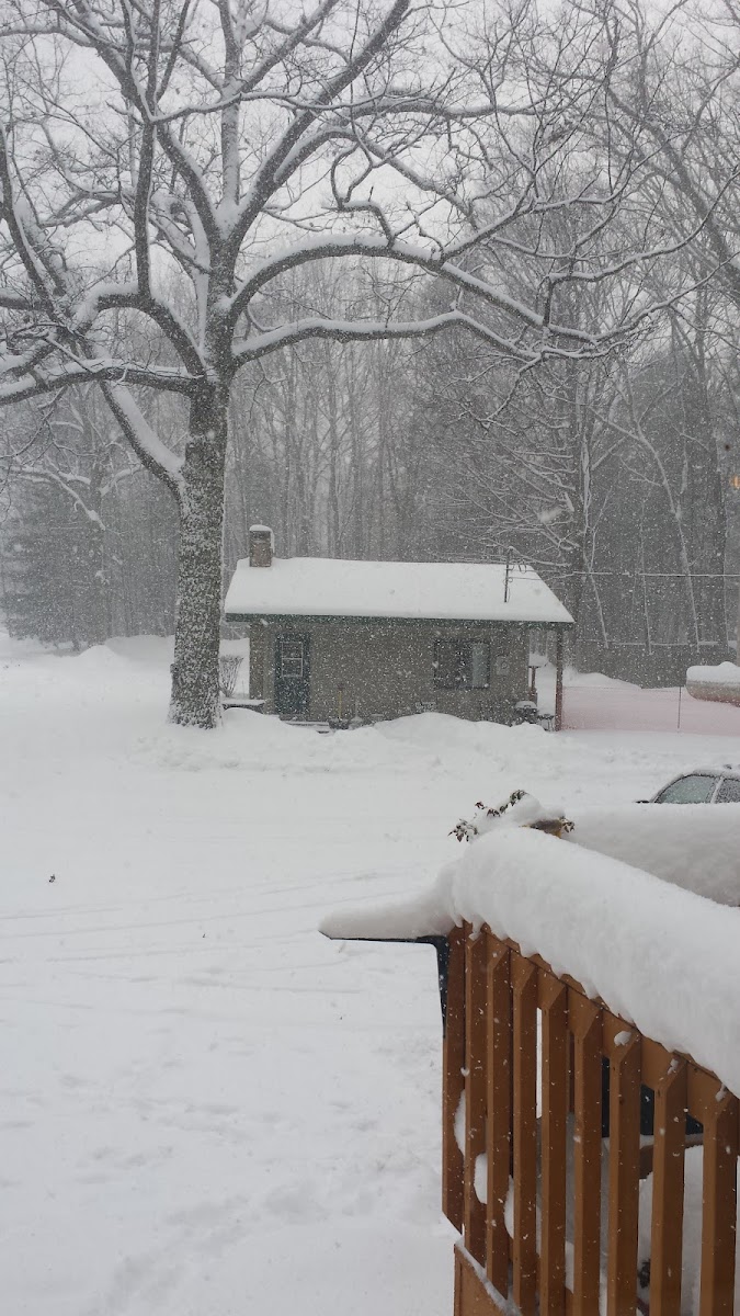 Wolf Lake Motel & Resort photo 3