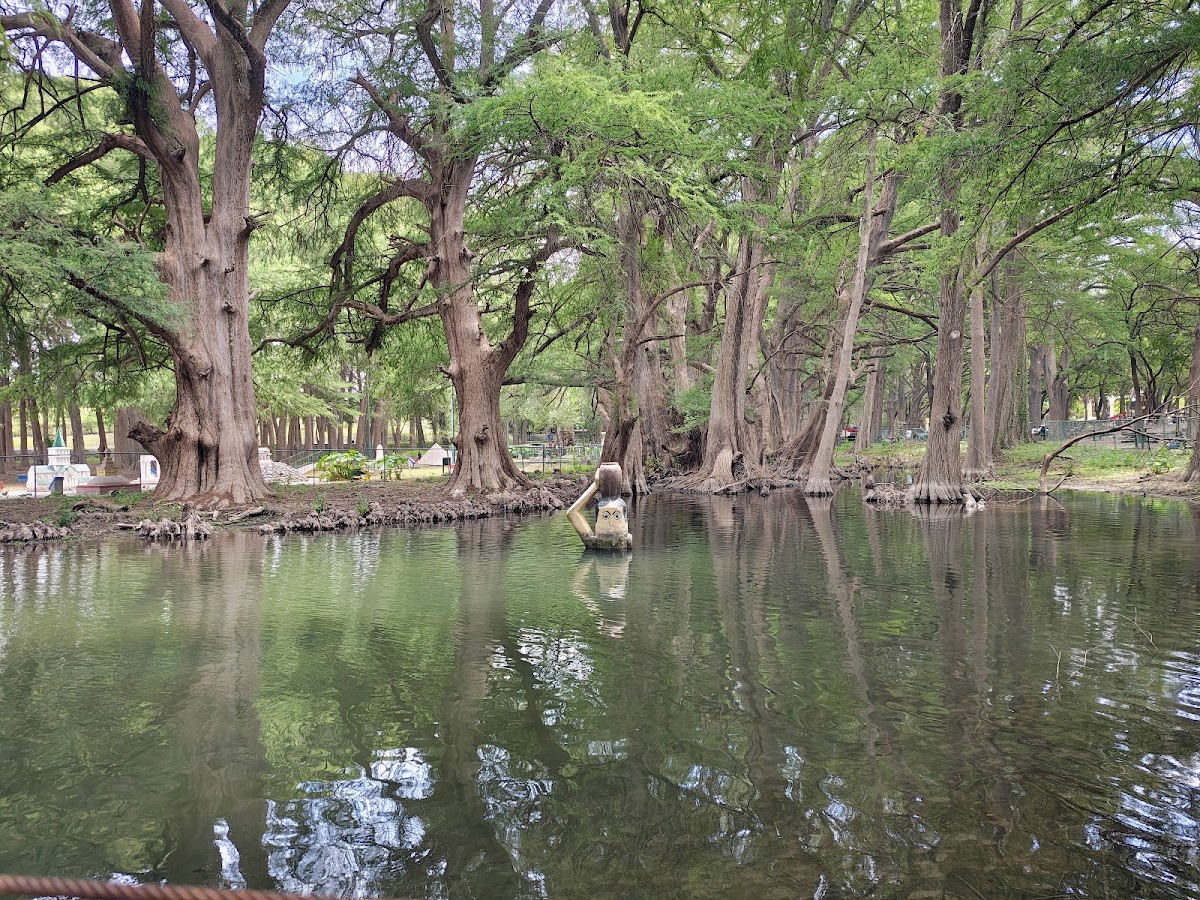 Parque El Sabinal