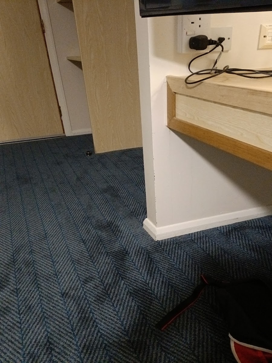 Travelodge Burton A38 Southbound photo 3