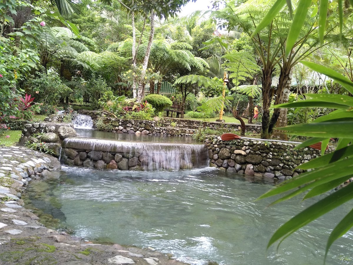 Balay Buhay sa Uma Bee Farm