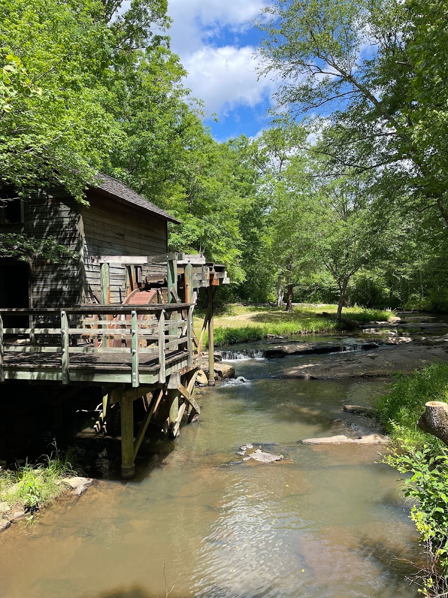 Lundy Creek Lodge photo 3