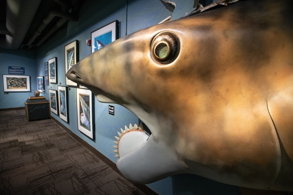 Idaho Museum of Natural History