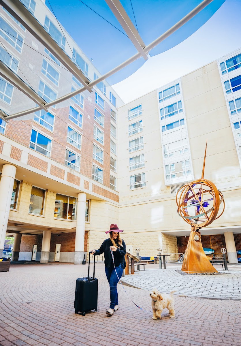 Kimpton Marlowe Hotel photo 3