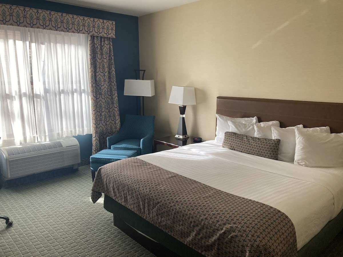 Hotel Warner photo 2
