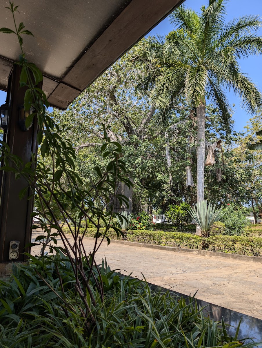 Mkonge Hotel / Tanga photo 3
