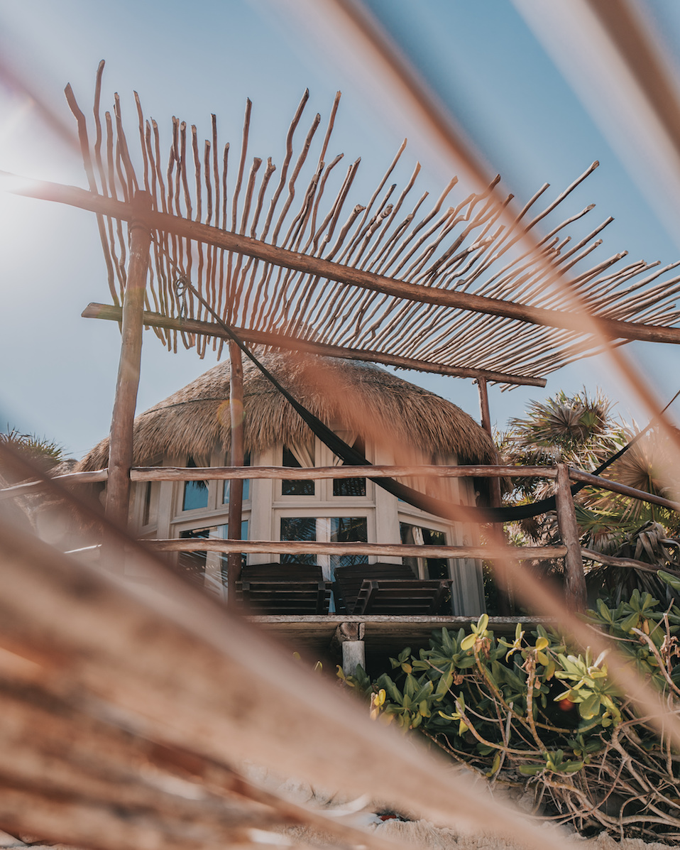 Papaya Playa Project photo 2