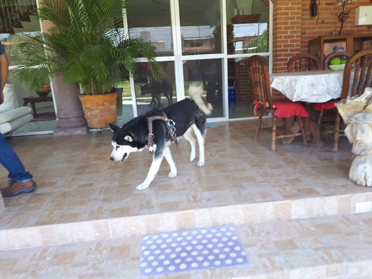 Casa vacacional Tequisquiapan Santa Fe photo 2