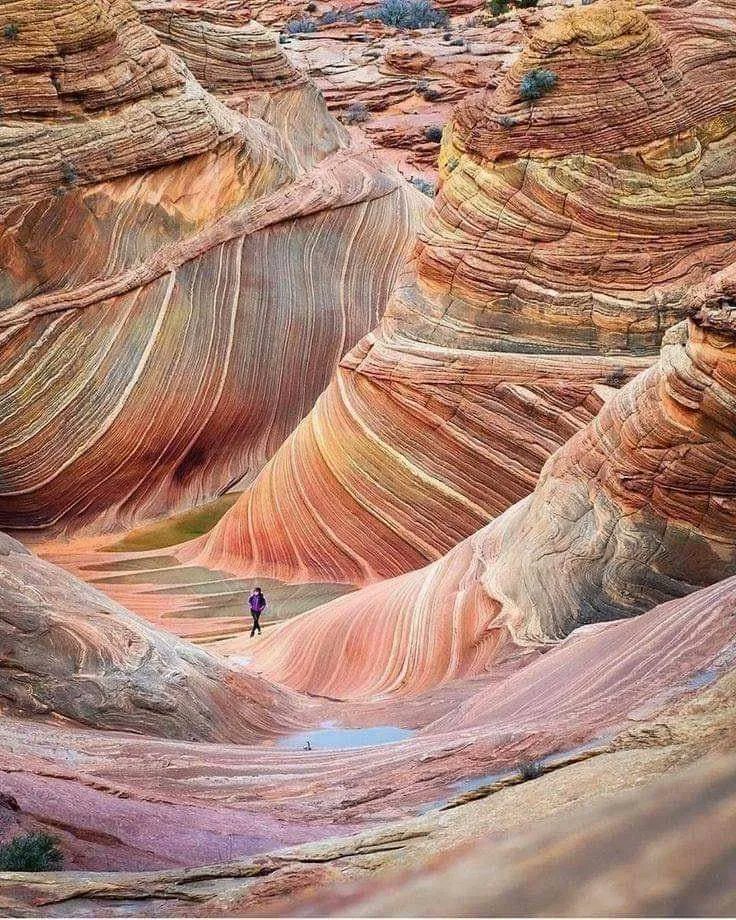Paria Canyon-Vermilion Cliffs Wilderness Area