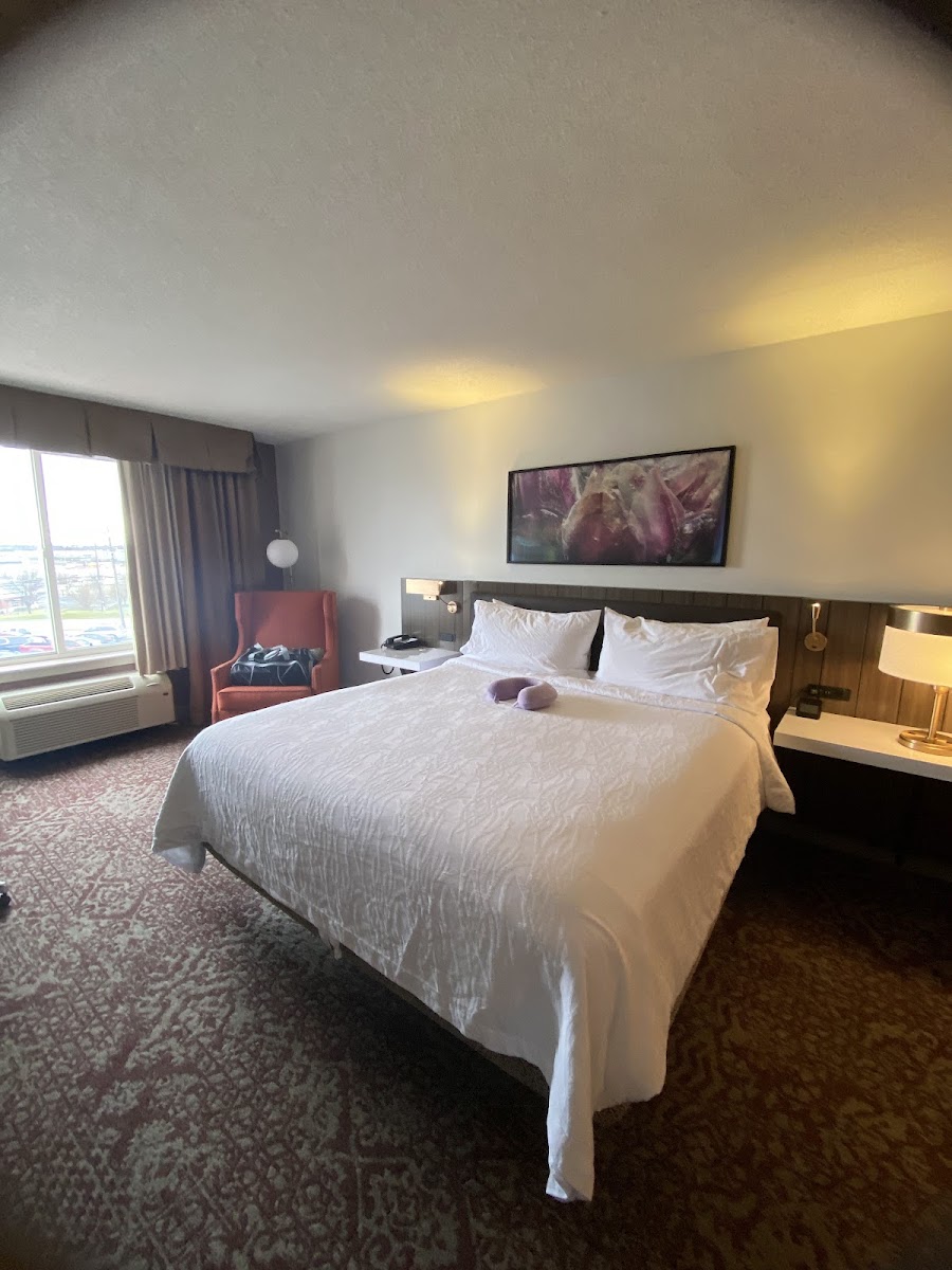 Hilton Garden Inn Allentown Bethlehem Airport photo 2