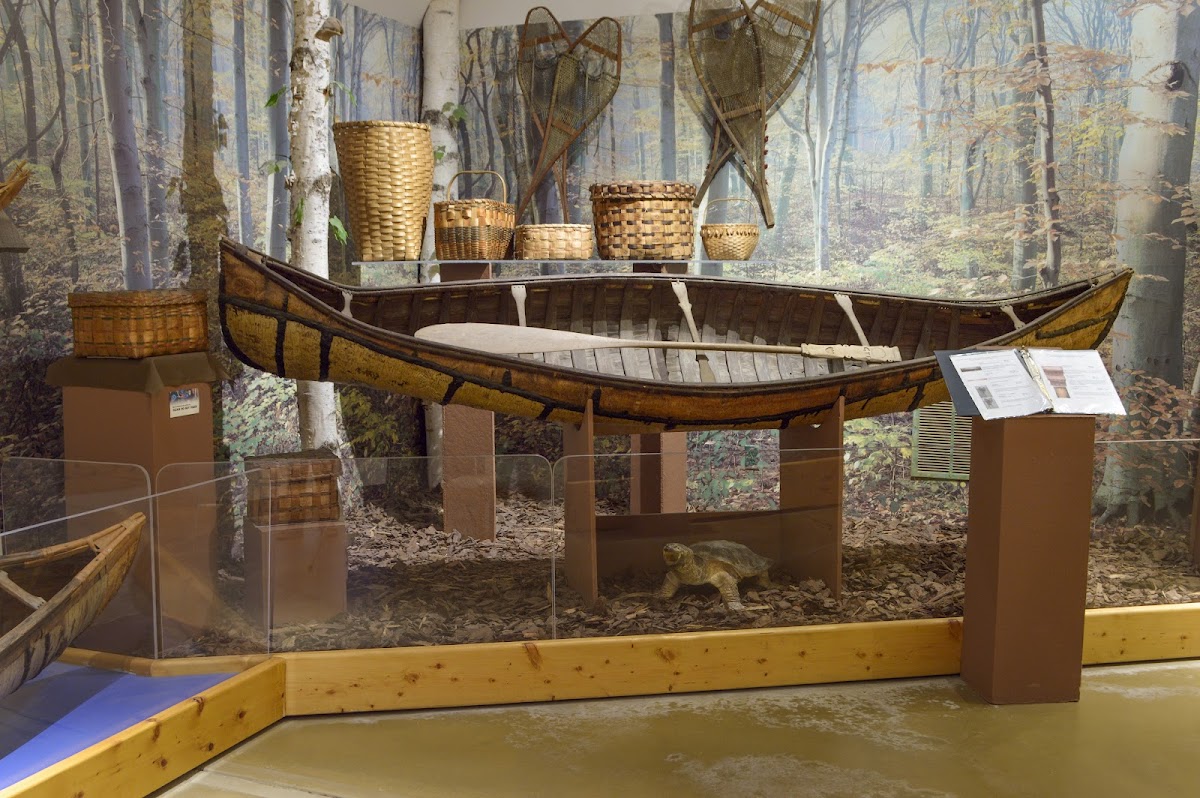 Mt Kearsarge Indian Museum