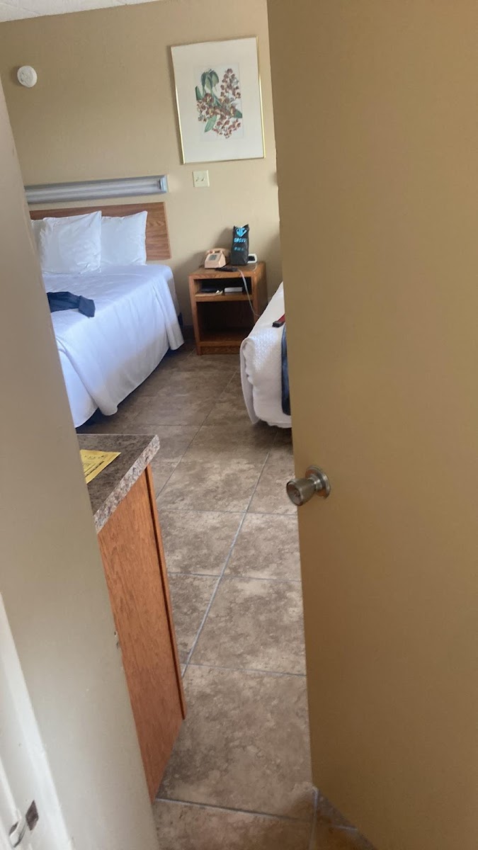 Room 6
