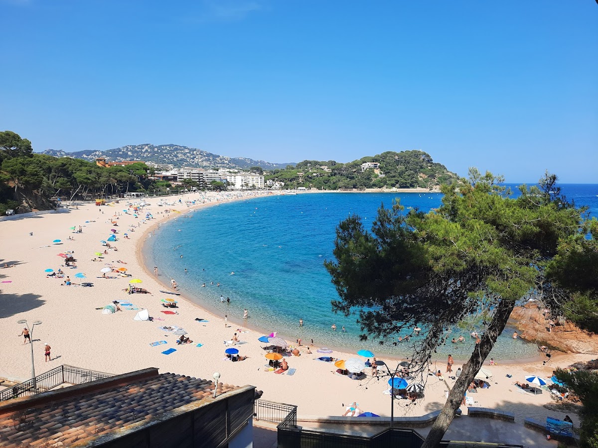 Playa de Fenals