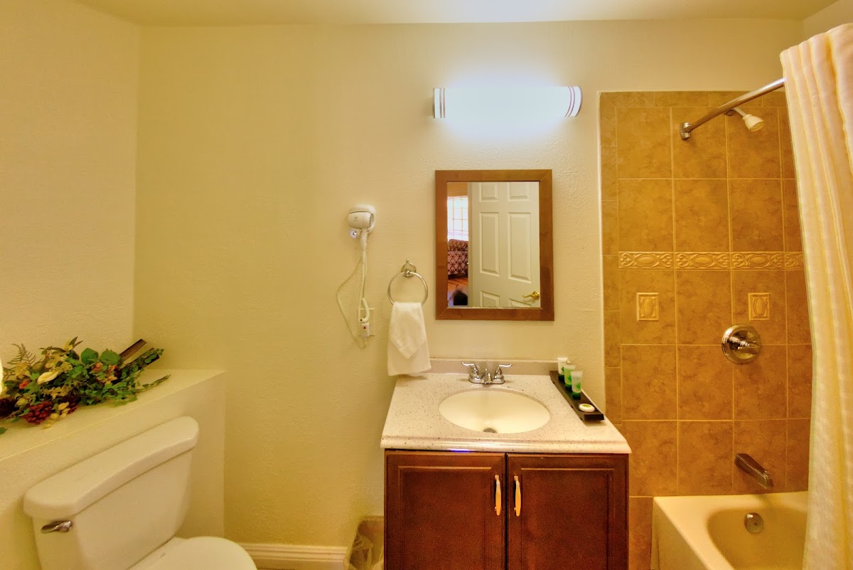 Palm Tropics Motel photo 3