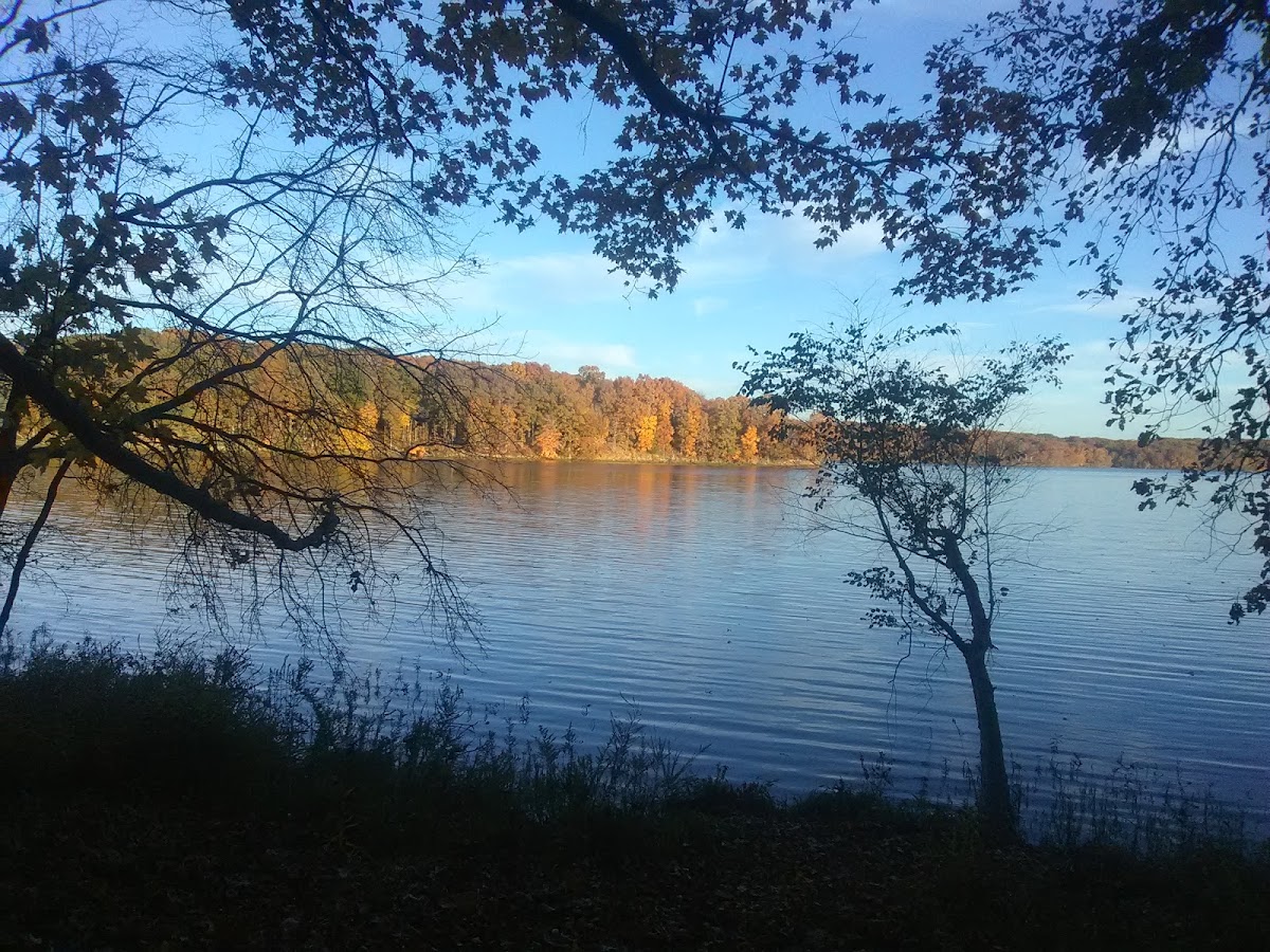 Stephen A. Forbes State Recreation Area