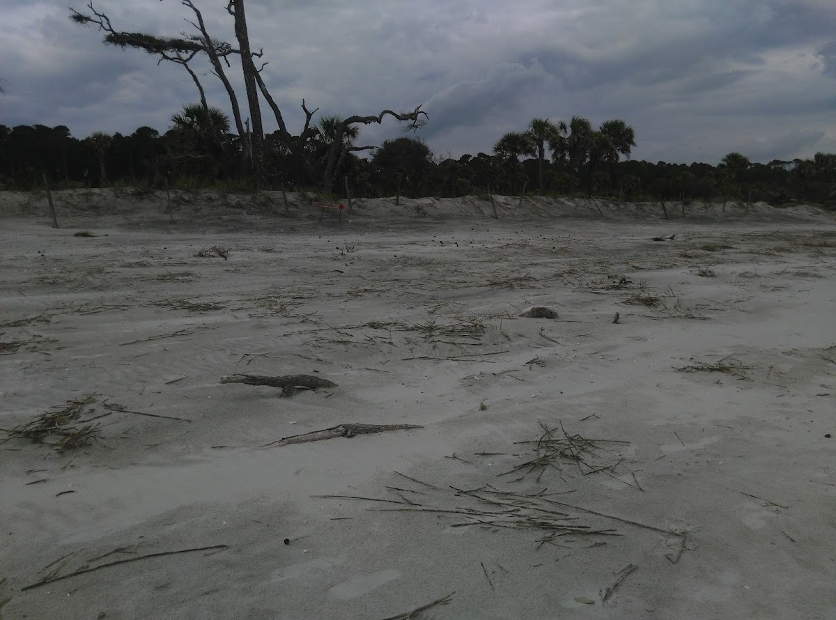 Wyndham Ocean Ridge Beach Walk photo 3
