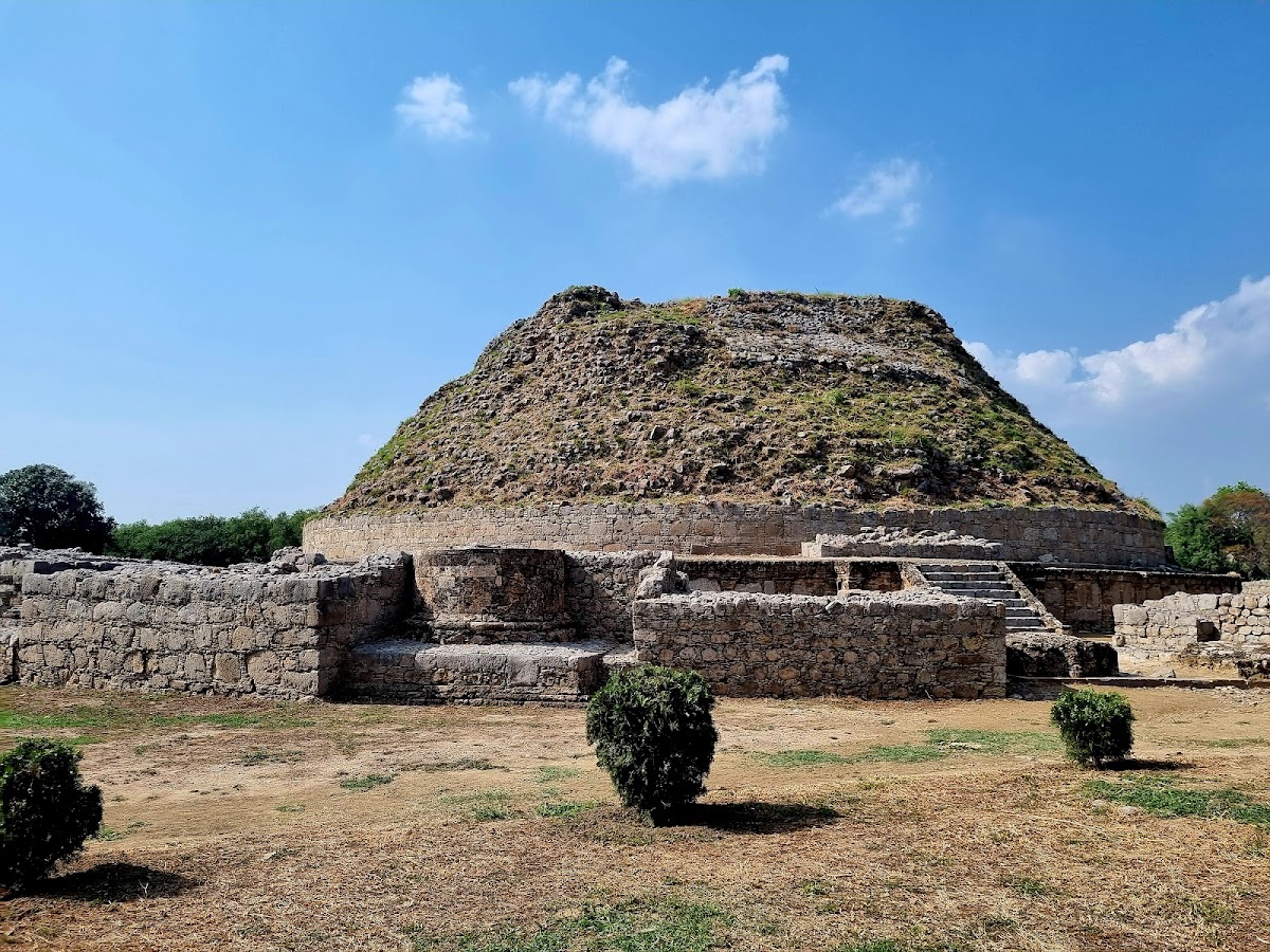 Dharmarajika Stupa And Monastery