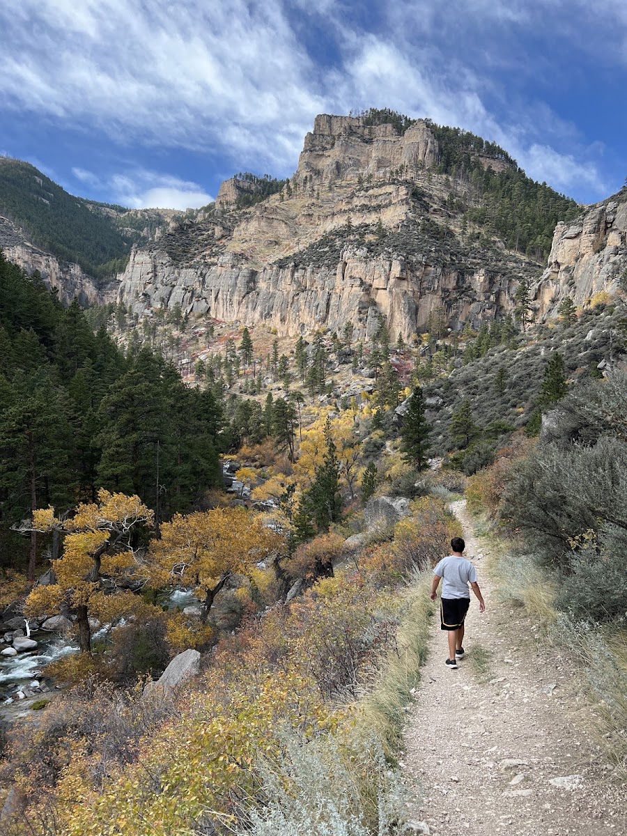 Tongue River Canyon Access
