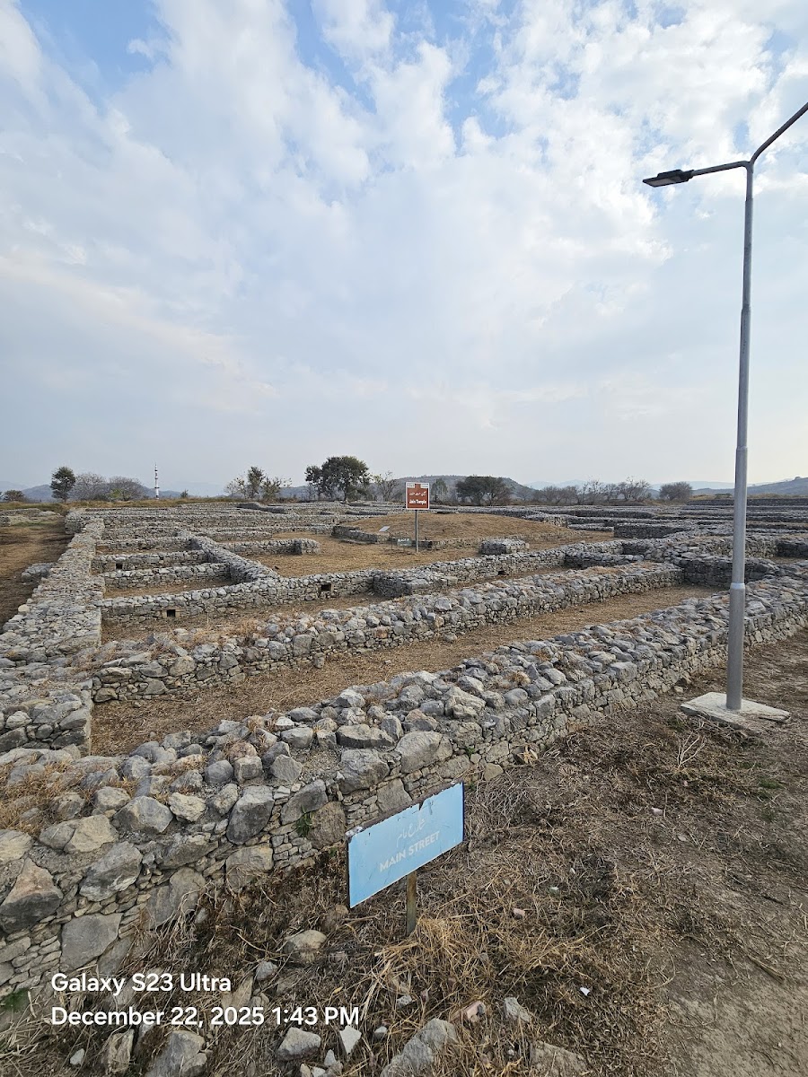 Sirkap Palace