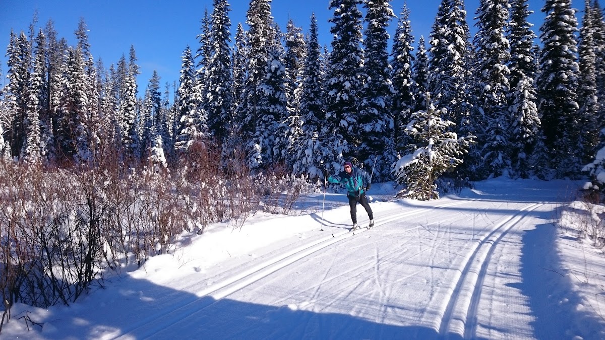 Kelowna Nordic Ski and Snowshoe Club photo 2