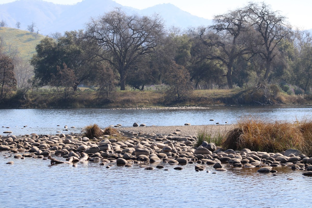 Kings River Conservancy