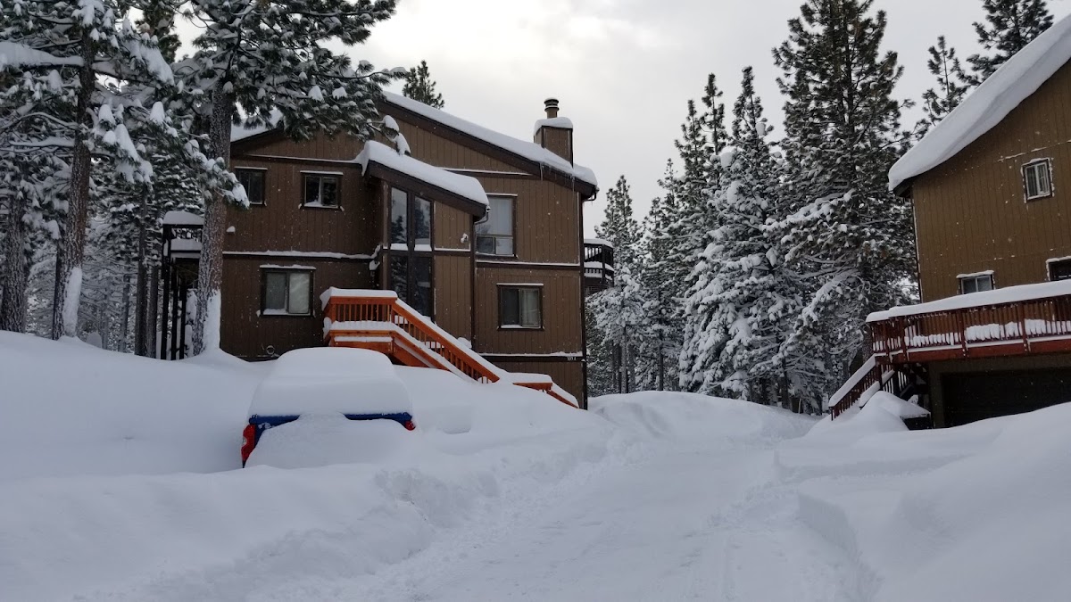 Pine Cone Resort photo 3