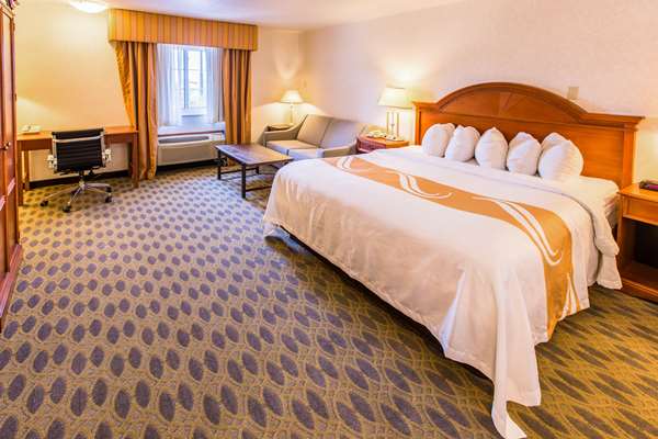Quality Inn & Suites University photo 2