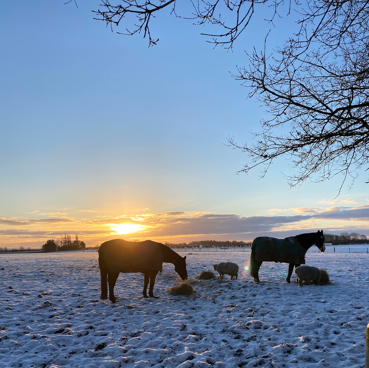 Bridleway Bed & Breakfast photo 3