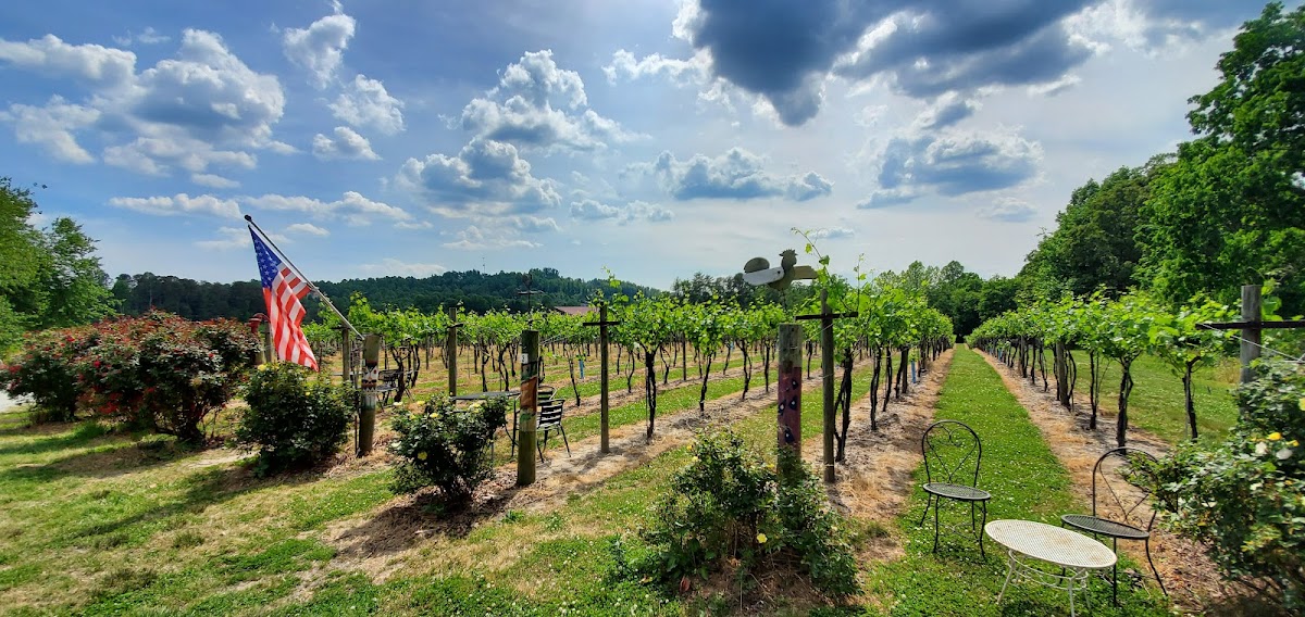 Saint Paul Mountain Vineyards