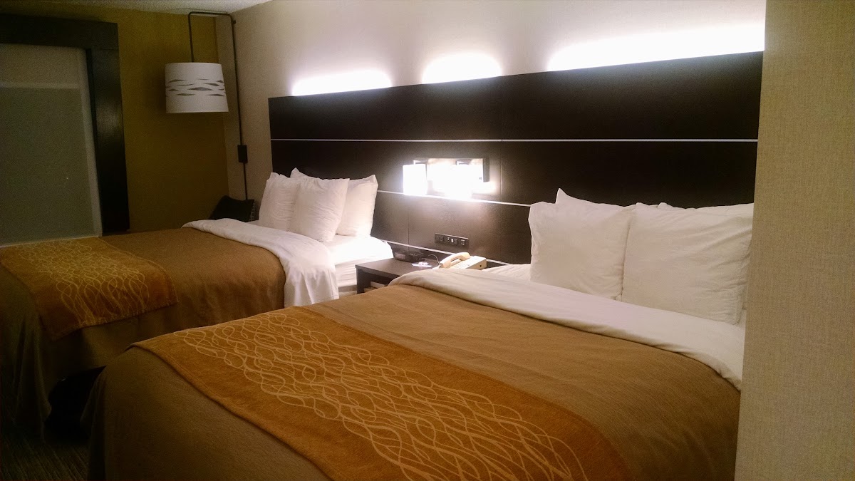 Holiday Inn Express & Suites Albany Airport - Wolf Road by IHG photo 2