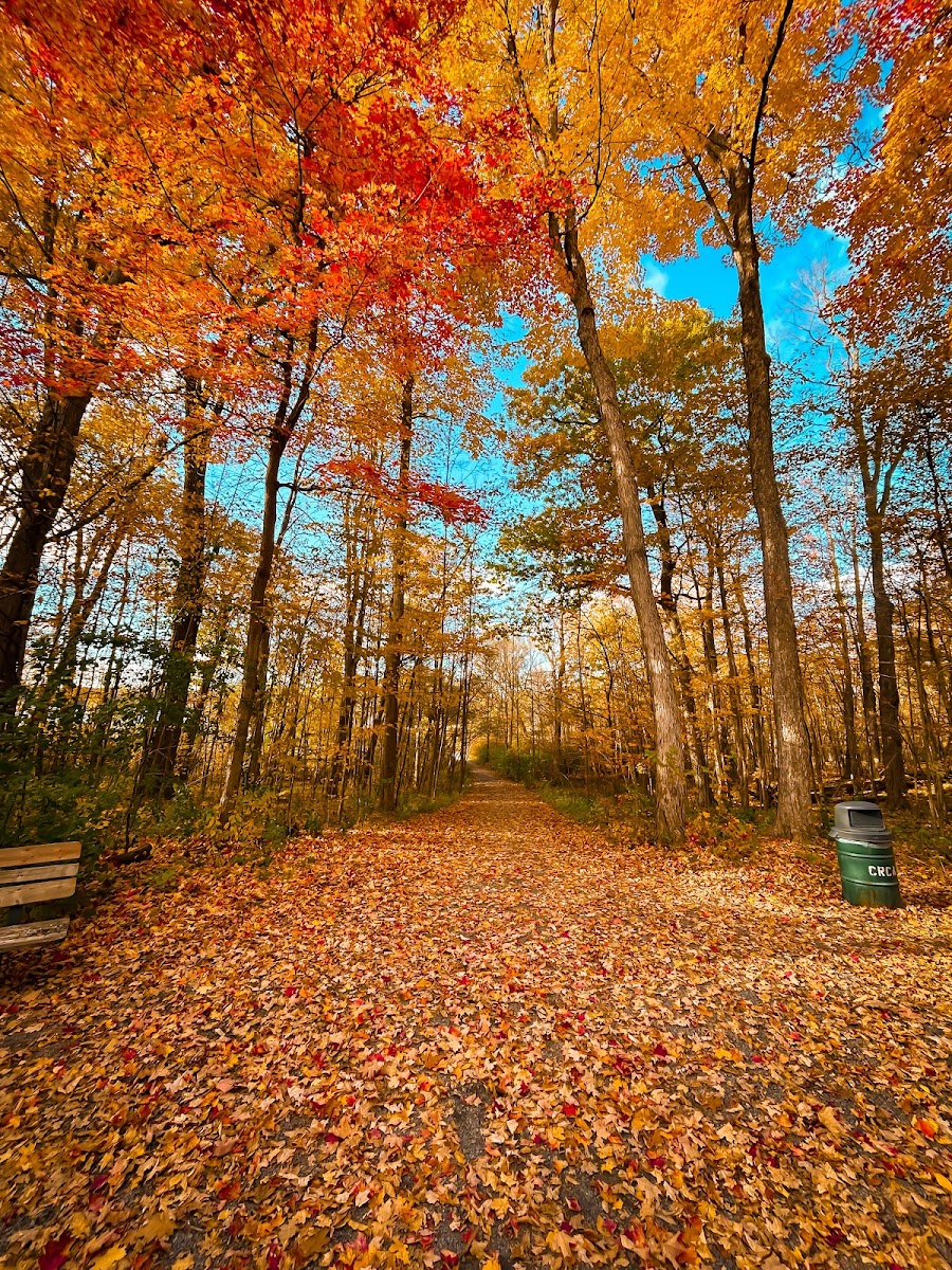 Lemoine Point Conservation Area