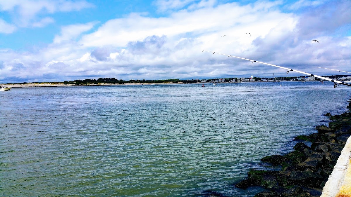Oceanic Motel photo 3