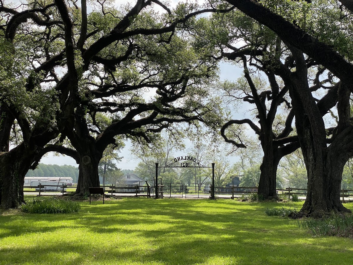 Cane River Creole National Historical Park