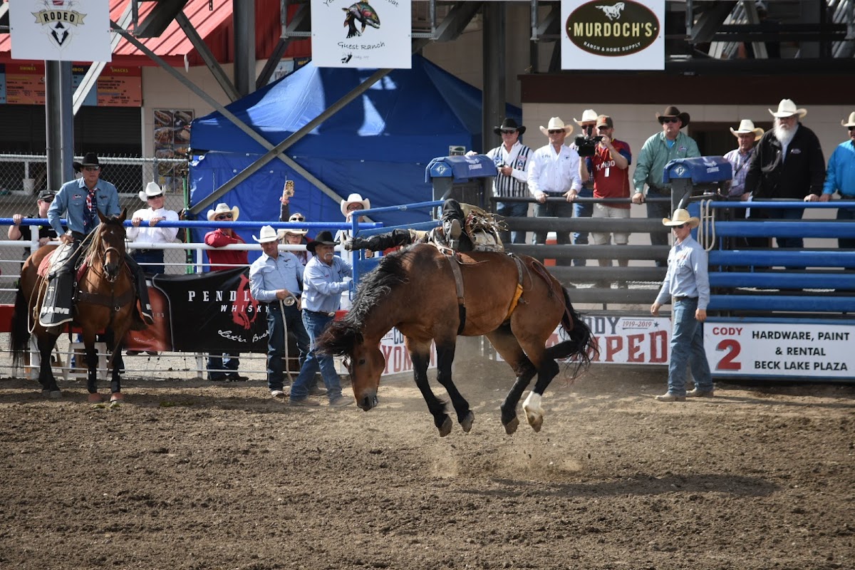 Cody Nite Rodeo & Cody Stampede Rodeo