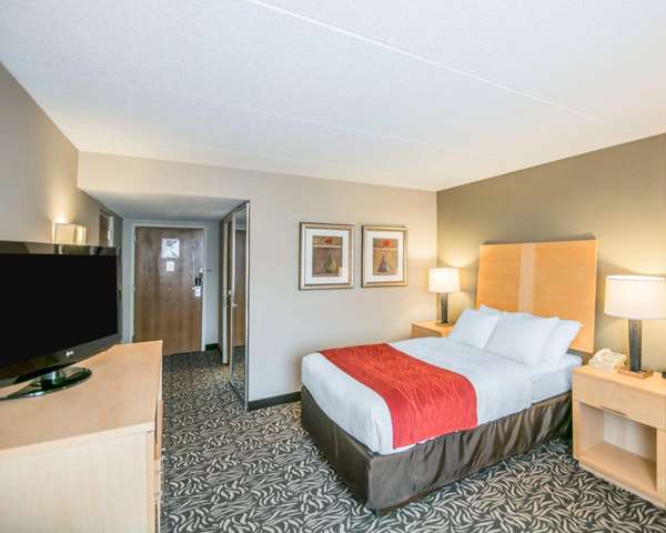 Comfort Inn - NYS Fairgrounds photo 2