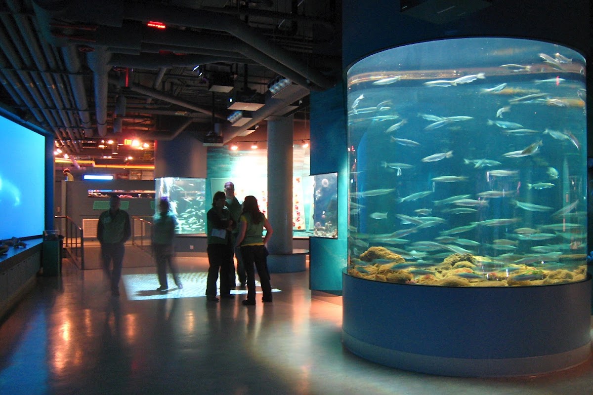 Shaw Centre for the Salish Sea
