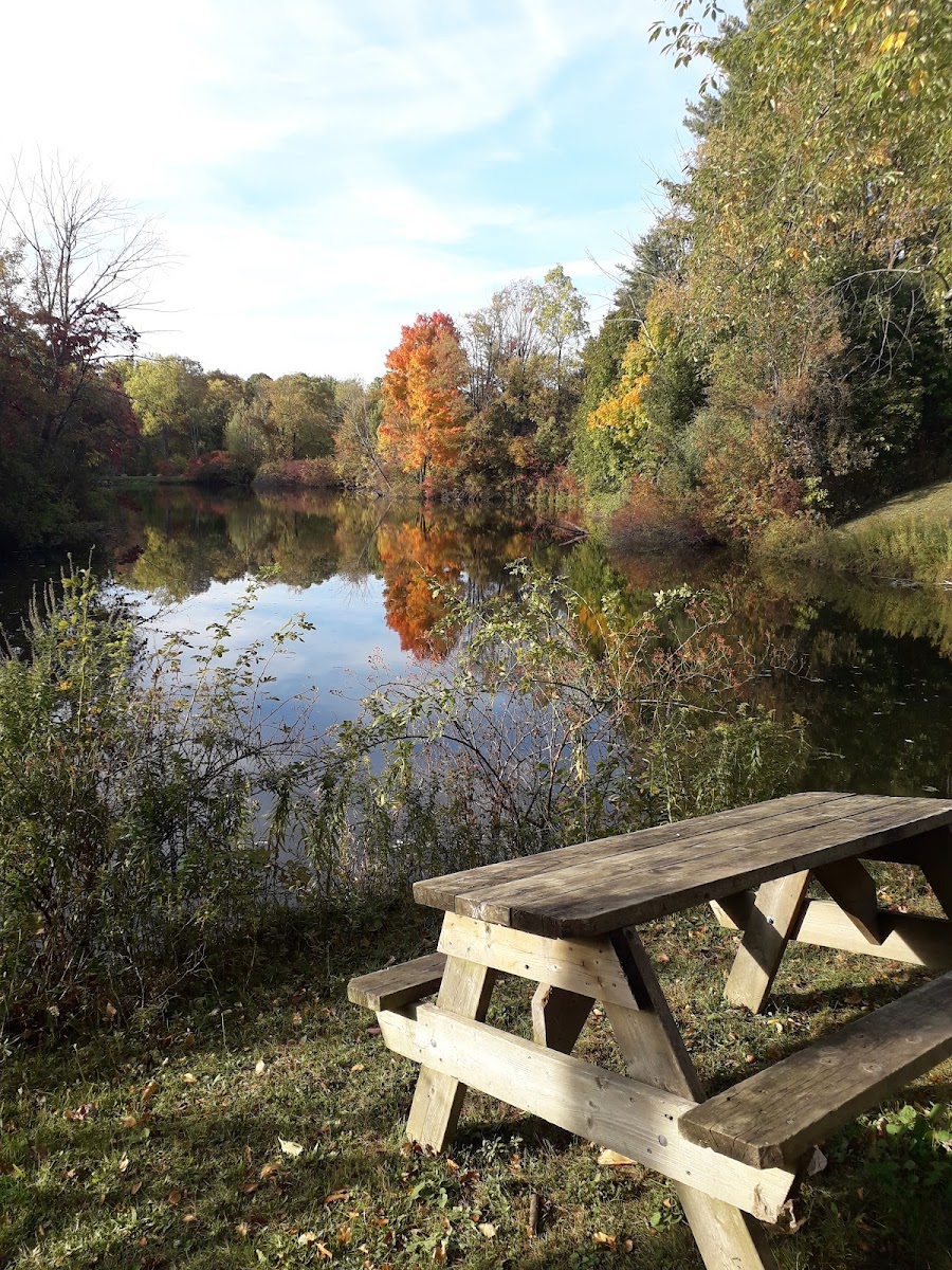 Bissell's Hideaway Resort photo 2