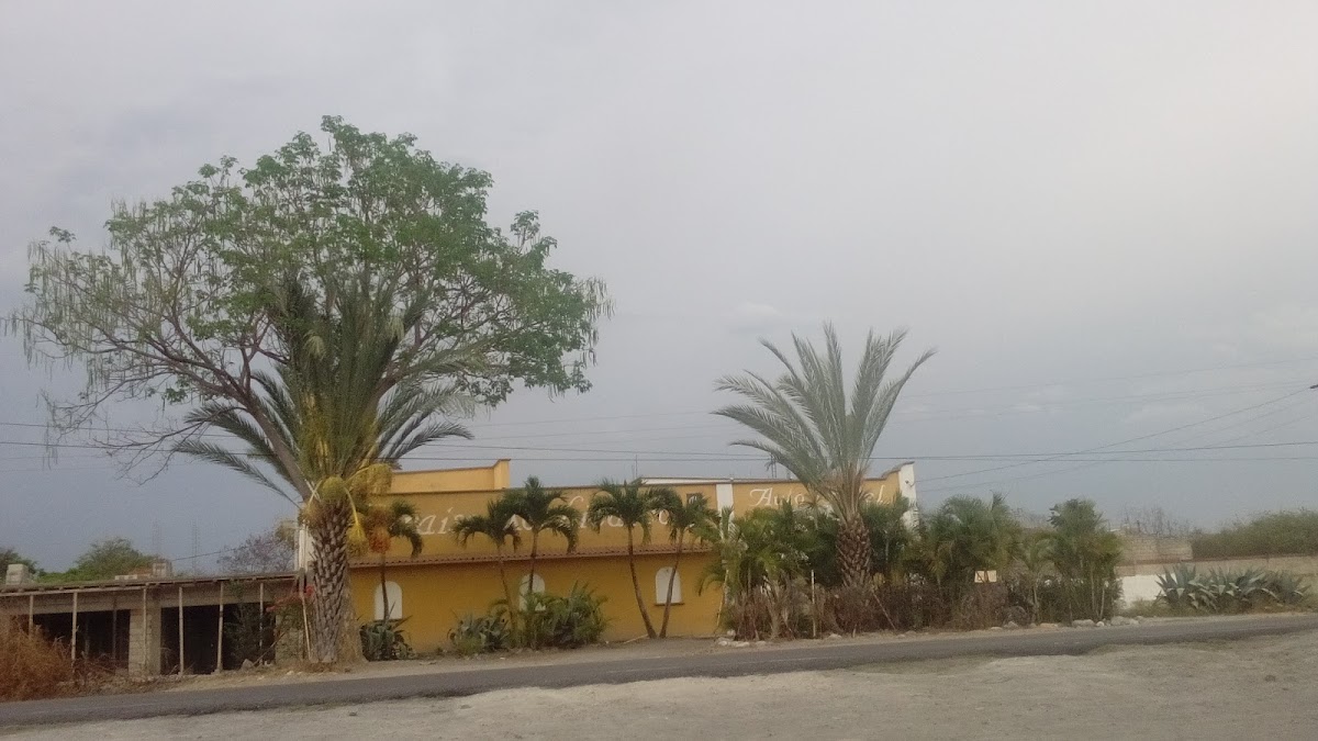 Hotel Paraiso Xochicalco photo 3