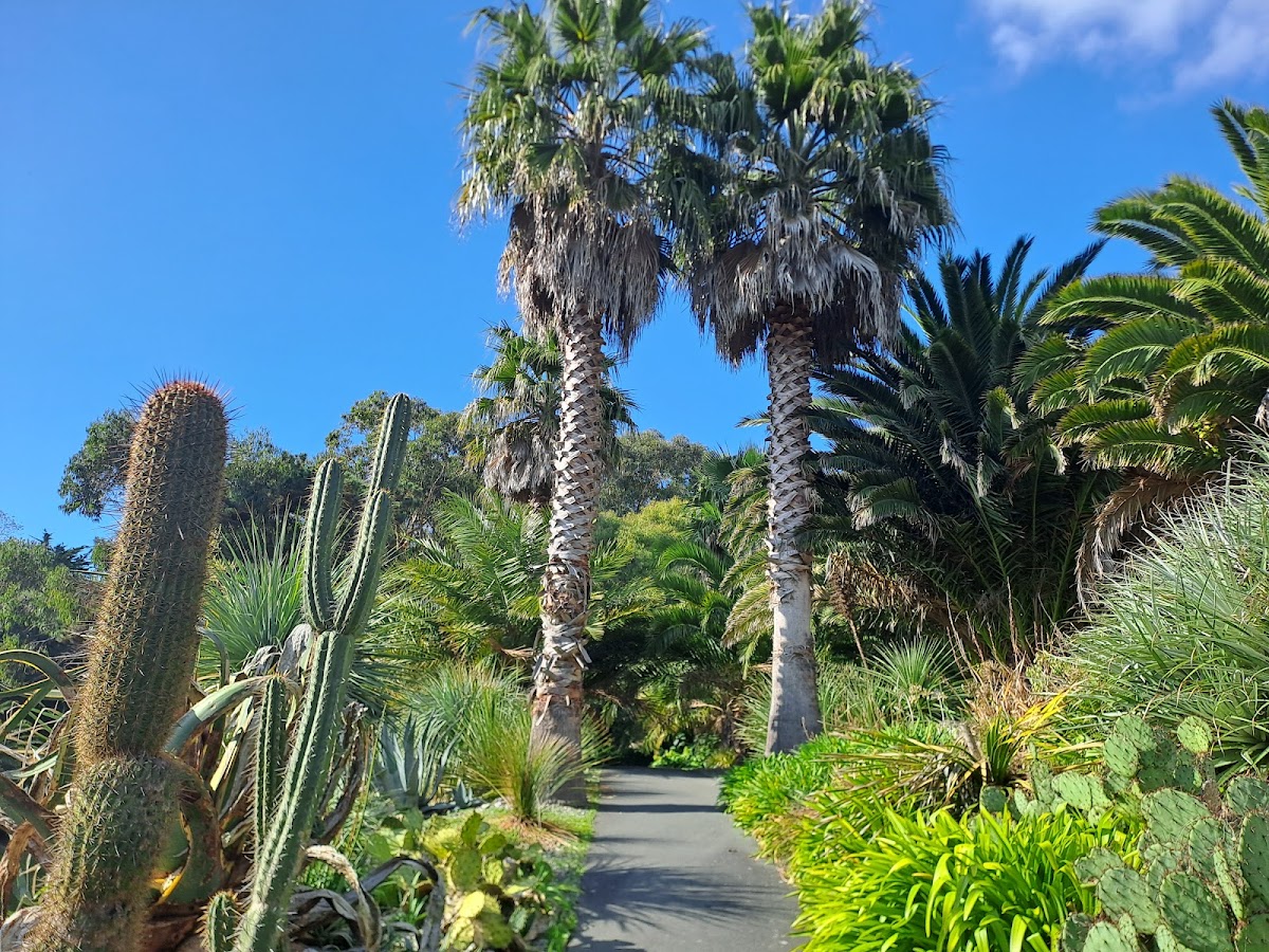 Ventnor Botanic Garden